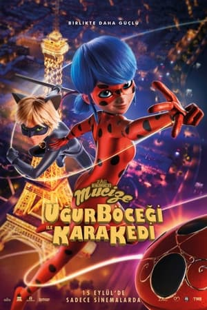 Mucize: Uğur Böceği ile Kara Kedi Filmini izle