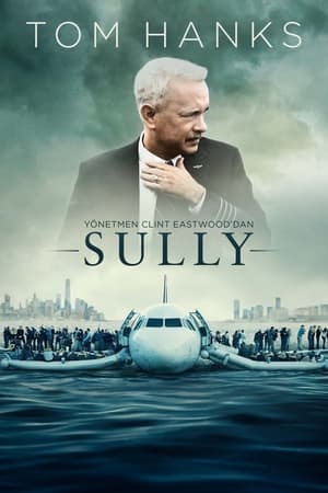 Sully online izle