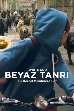 Beyaz Tanrı Hd izle