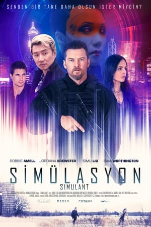 Simülasyon izle