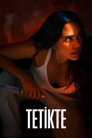 Tetikte hd izle