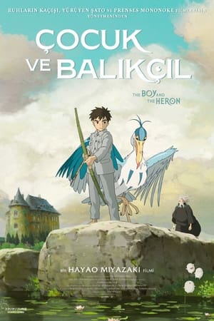 Çocuk ve Balıkçıl Tek part izle