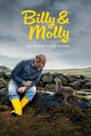 Billy ve Molly Bambaşka Bir Sevginin Hikayesi izle