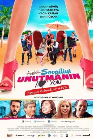 Eski Sevgiliyi Unutmanın 10 Yolu izle