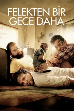 Felekten Bir Gece Daha izle