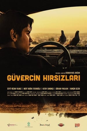 Güvercin Hırsızları izle