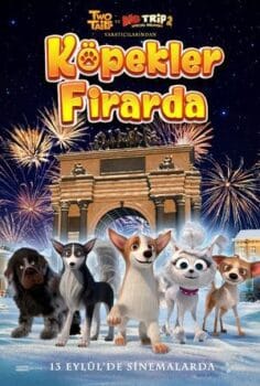 Köpekler Firarda izle
