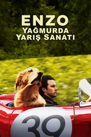 Enzo: Yağmurda Yarış Sanatı izle