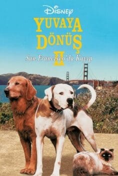 Yuvaya Dönüş II: San Francisco’da Kayıp izle