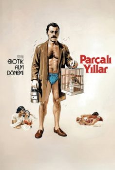 Parçalı Yıllar izle